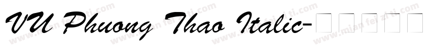 VU Phuong Thao Italic字体转换